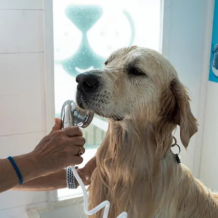 Dei Bizantini & Villaggio Campo Dei Messapi Hotel San Pietro in Bevagna